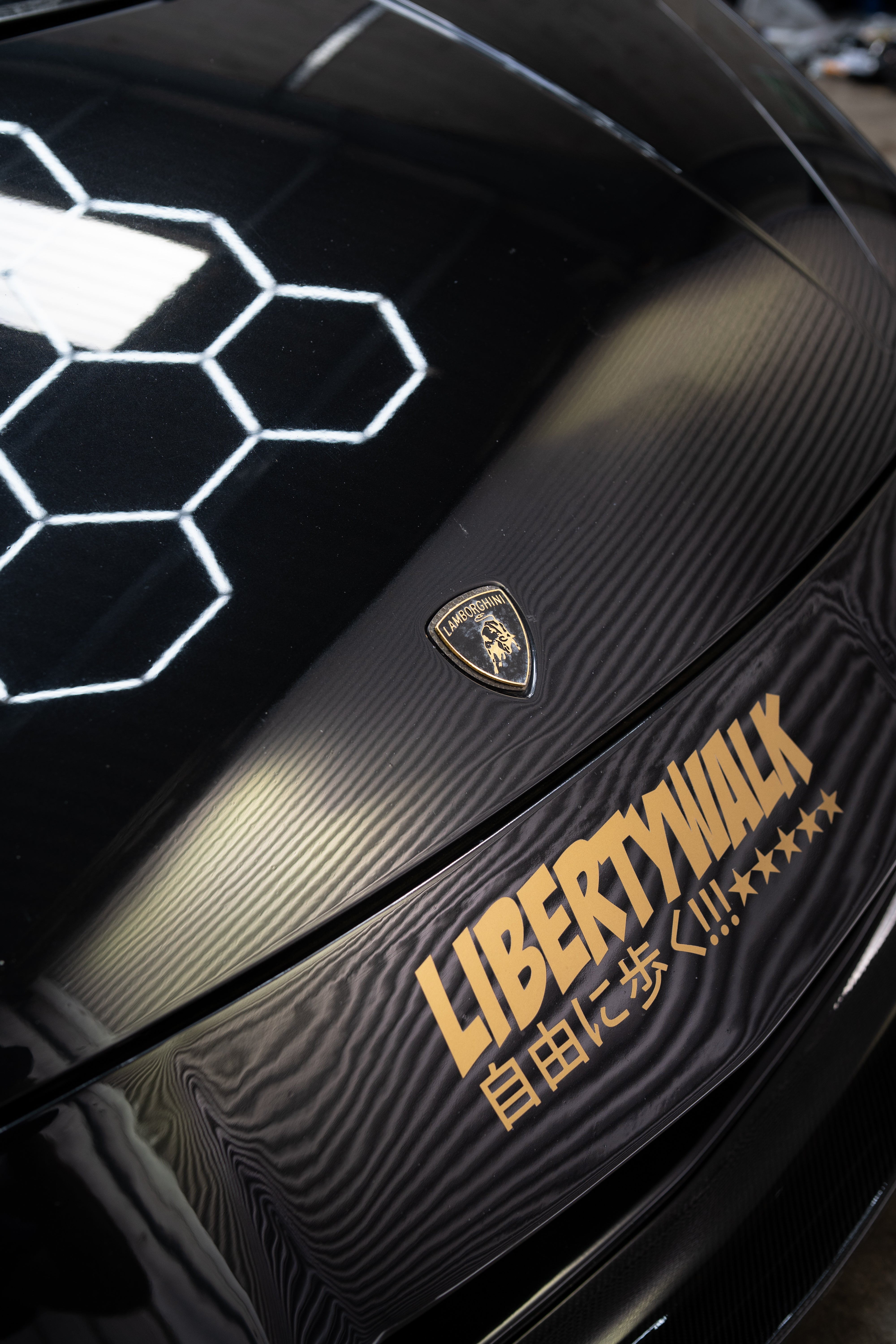 LAMBORGHINI GALLARDO NHAIR STRUTS